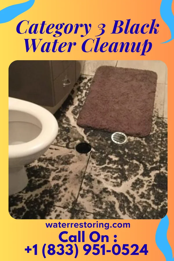 Category 3 Black Water Cleanup in Fincastle, TN