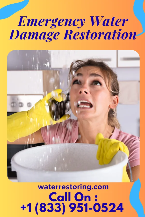 Emergency Water Damage Restoration in Fincastle, TN