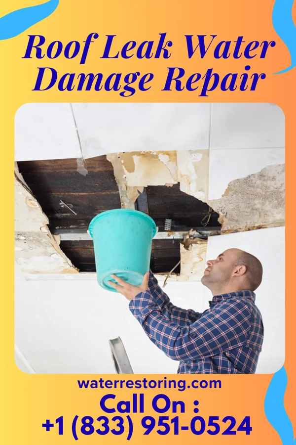 Roof Leak Water Damage Repair in Fincastle, TN