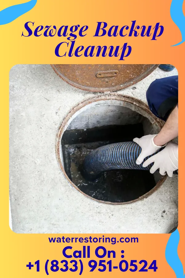 Sewage Backup Cleanup in Fincastle, TN
