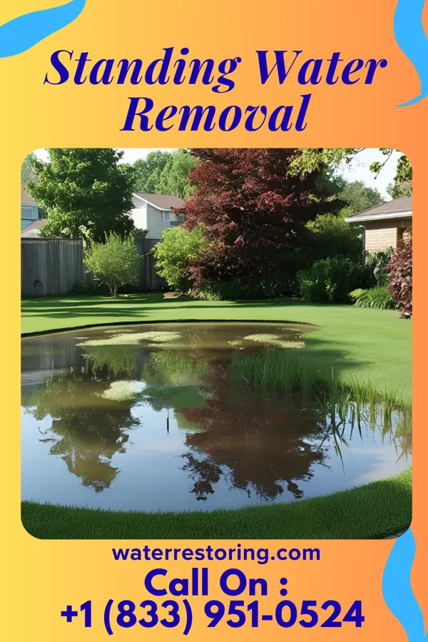 Standing Water Removal in Fincastle, TN
